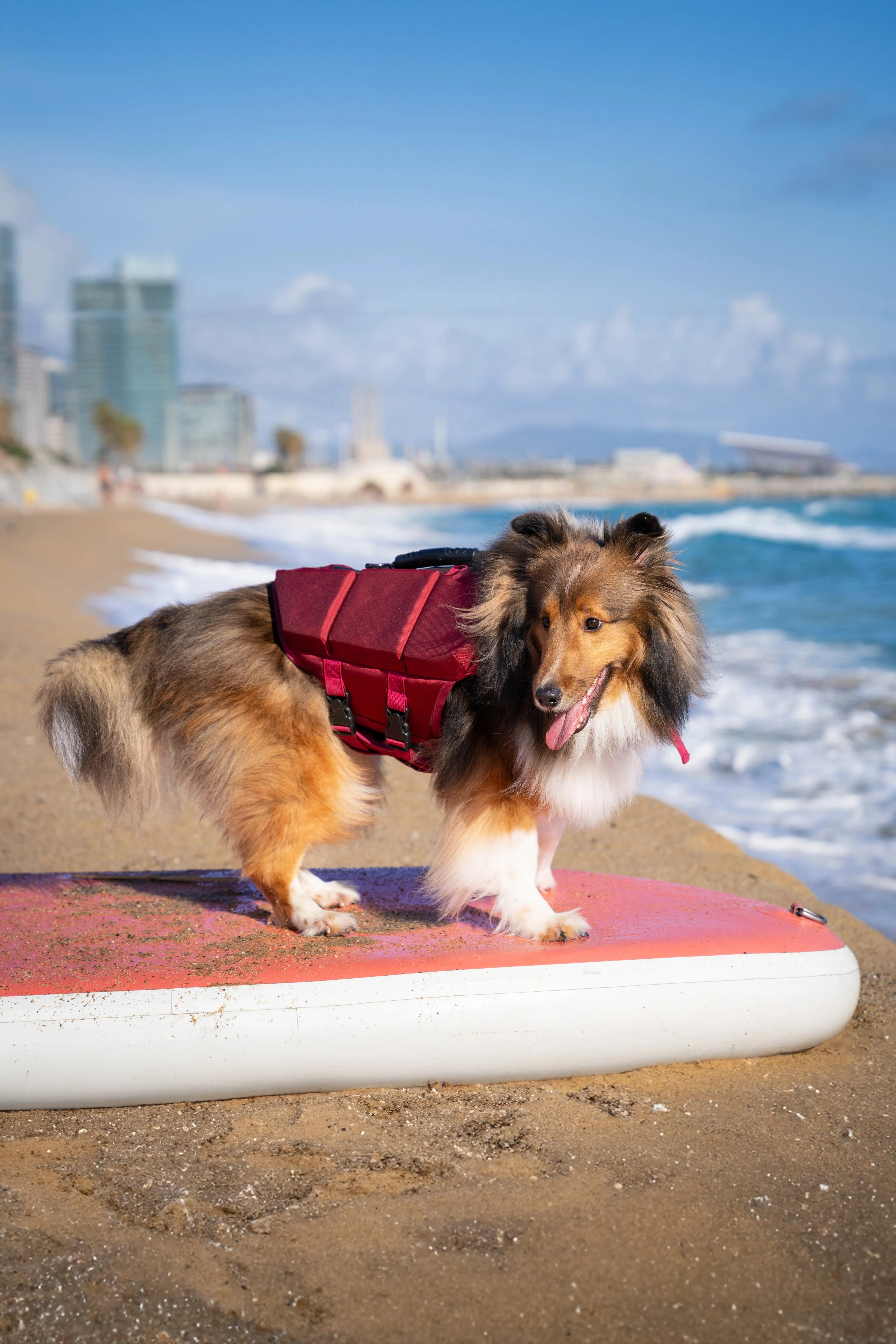 Human Standards Dog Lifejacket Design with 3x Foam for Maximum Buoyancy, Stability & Comfort - Red