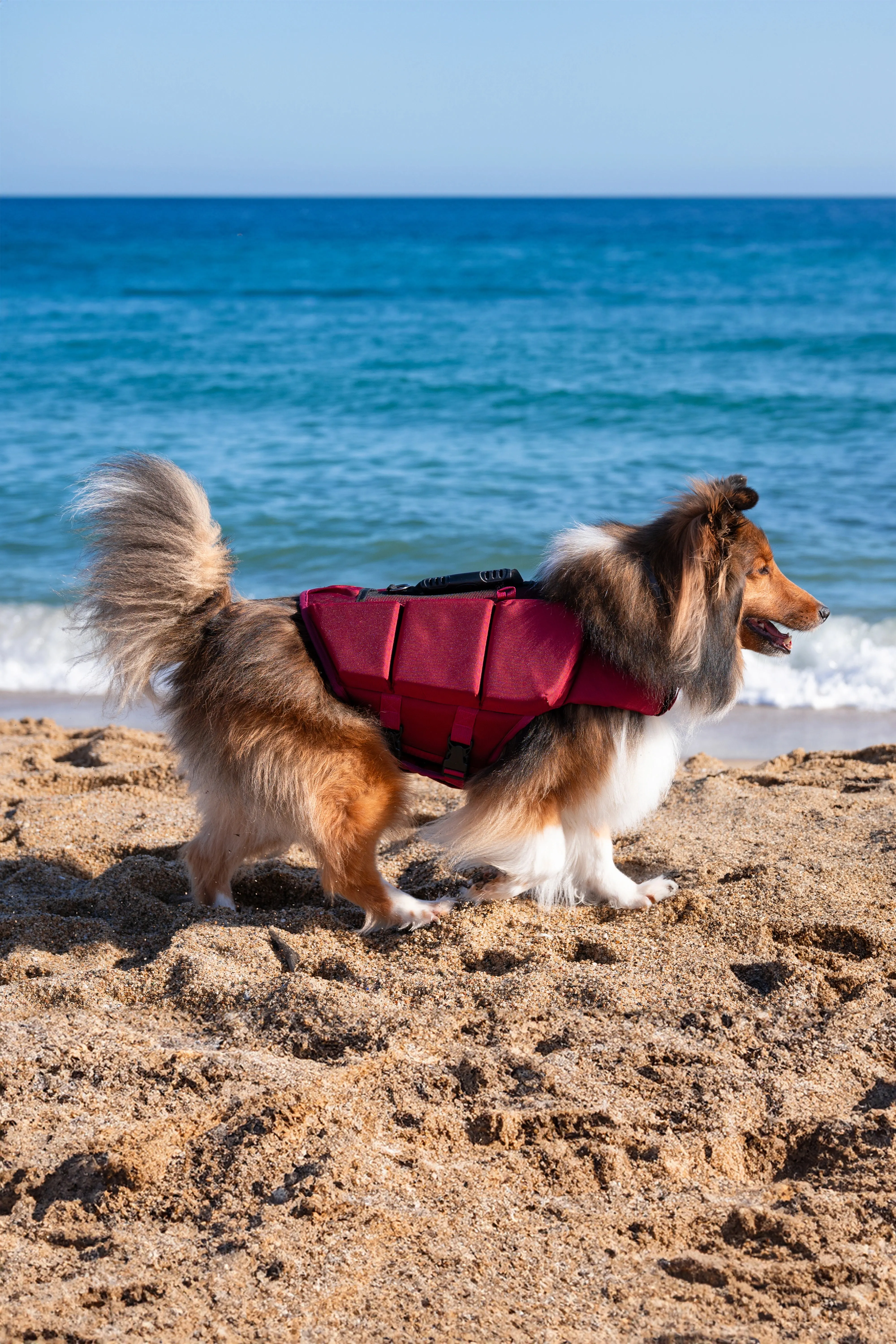 Human Standards Dog Lifejacket Design with 3x Foam for Maximum Buoyancy, Stability & Comfort - Red
